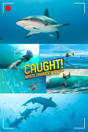 Caught! When Sharks Attack poster