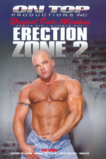 Movie poster for Erection Zone 2 (2003)