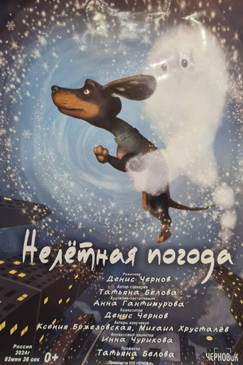 Нелётная погода poster