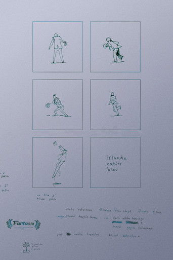 irlande cahier bleu poster