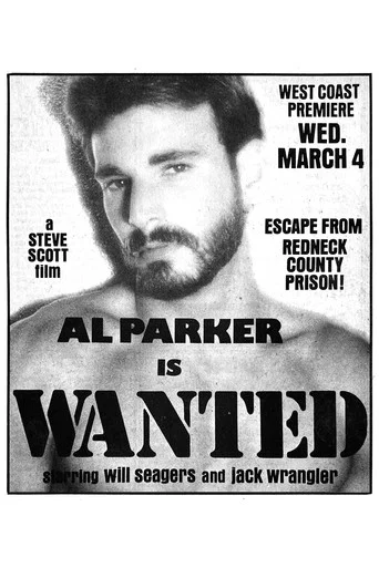 Movie poster for Wanted (1980)