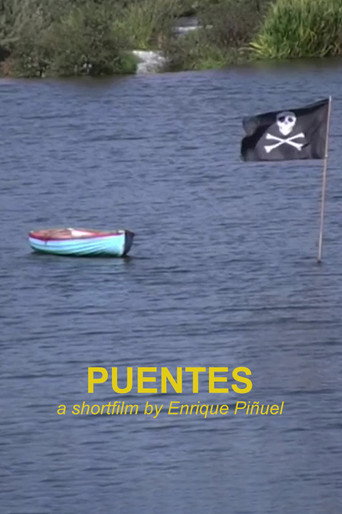 Movie poster for Puentes (2012)