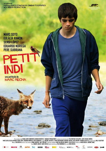 Little Indi poster