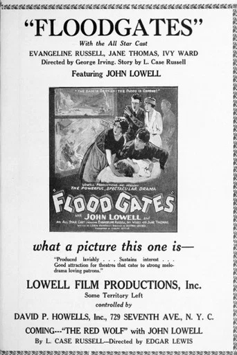 Movie poster for Floodgates (1924)
