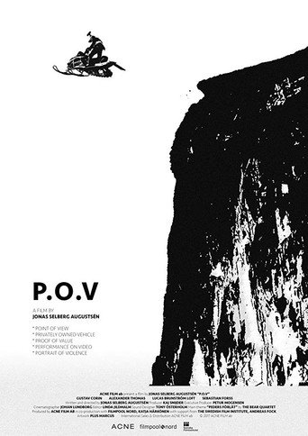 Movie poster for P.O.V (2017)