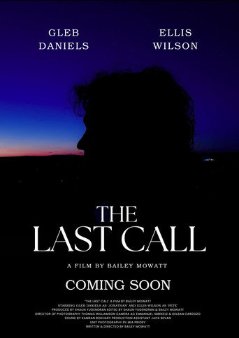Movie poster for The Last Call