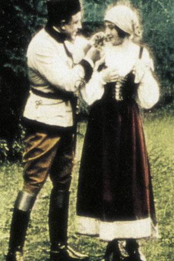 Movie poster for The Ghost King (1914)
