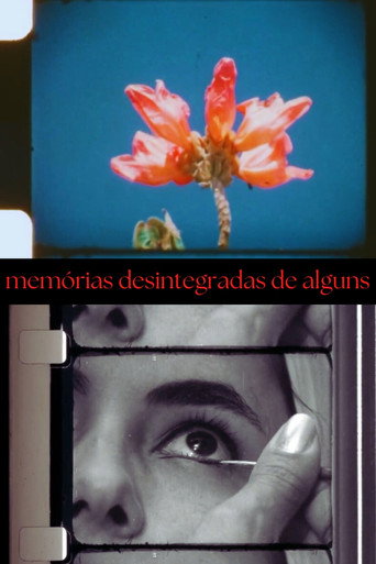 Movie poster for Disintegrated Memories of Some (2024)