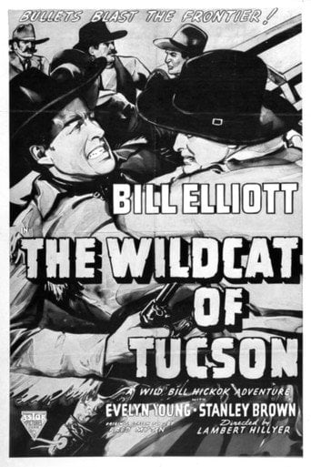 Movie poster for The Wildcat of Tucson (1940)