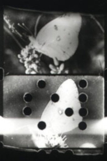 Movie poster for Flutter (1993)