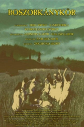 Movie poster for Boszorkánykör (2009)