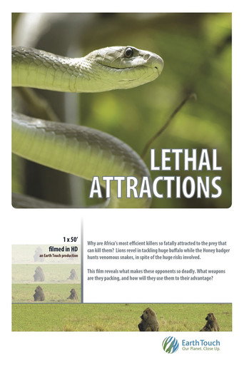 Movie poster for Lethal Attractions (2014)