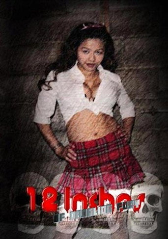 Movie poster for 12 Inches of Dangling Fury (2002)