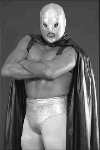 Movie poster for The Son of Santo (2008)