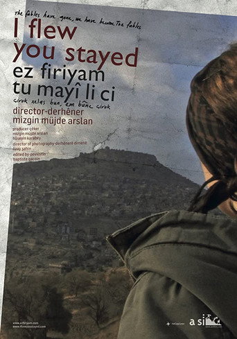 Movie poster for I flew you stayed (2012)