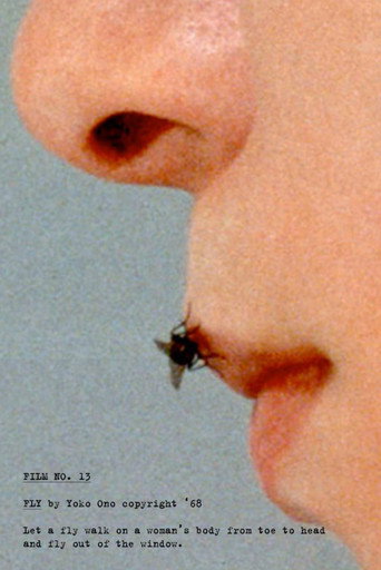 Movie poster for Fly (1970)