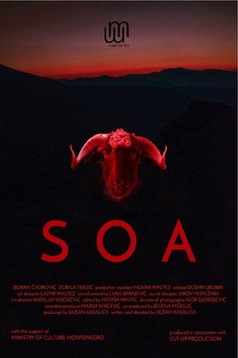 Movie poster for Soa (2017)