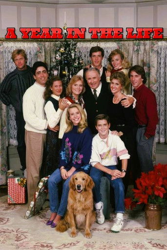 A Year in the Life poster