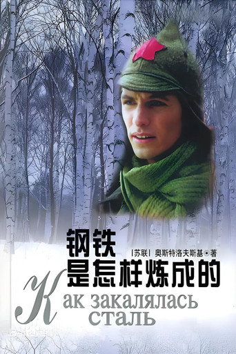 钢铁是怎样练成的 poster