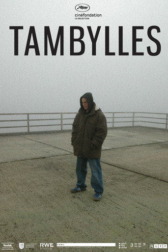 Movie poster for Tambylles (2012)