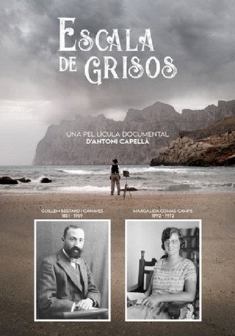 Movie poster for Escala de grisos (2021)
