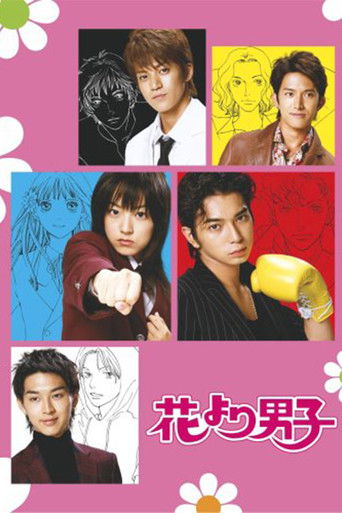 BOYS OVER FLOWERS poster
