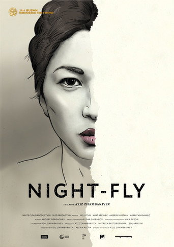 Movie poster for Night-Fly (2016)
