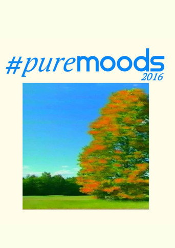 Movie poster for #Puremoods2016 (2016)