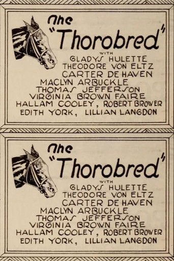 The Thoroughbred poster