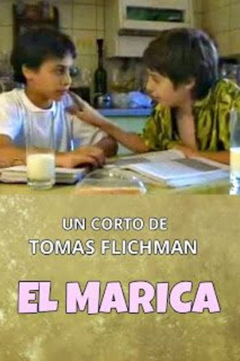 Movie poster for El Marica (2006)