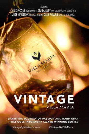 Movie poster for Vintage (2020)