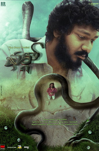 Movie poster for Virgo (2026)