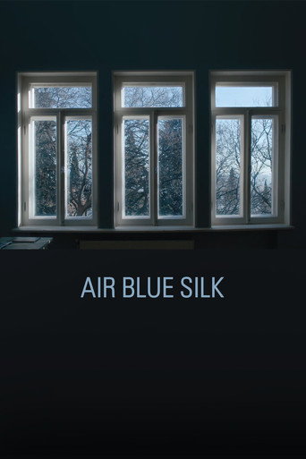 Movie poster for Air Blue Silk (2024)