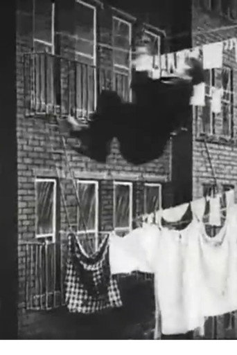 Movie poster for The Burglar's Slide for Life (1905)