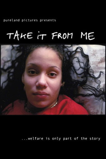 Movie poster for Take It From Me (2001)