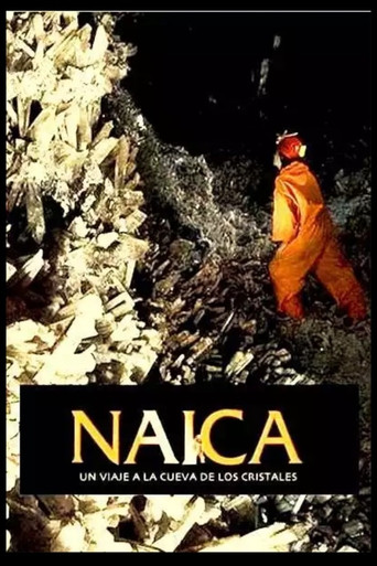 Movie poster for Naica (2010)