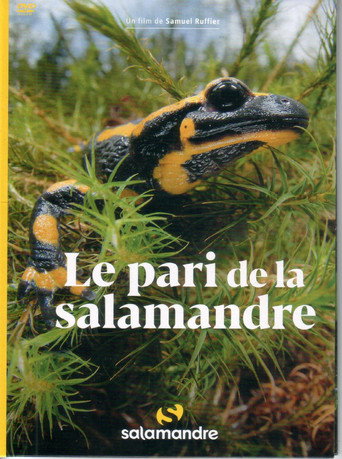 Movie poster for Le Pari De La Salamandre (2021)