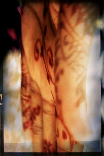Movie poster for Henna Splash (2006)