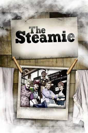 The Steamie poster