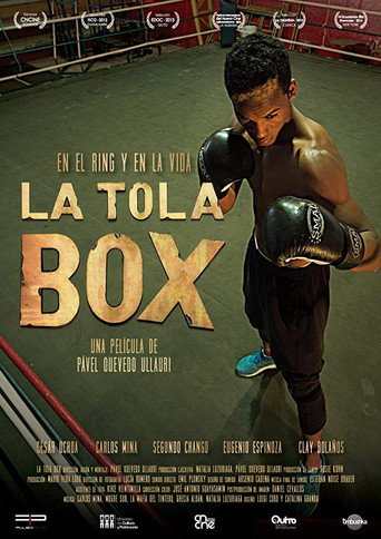 Movie poster for La Tola Box (2014)