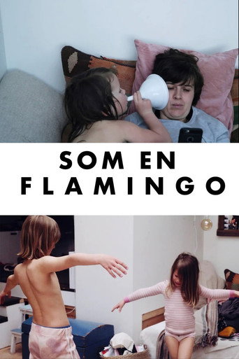 Movie poster for Som en flamingo (2020)