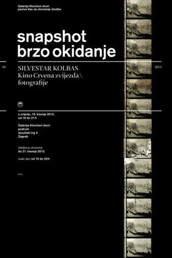 Movie poster for The Red Star Cinema (2014)
