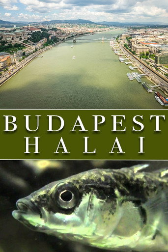 Movie poster for The Fish of Budapest