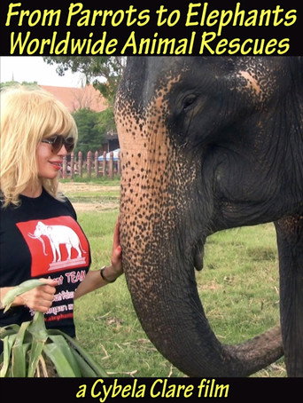Movie poster for From Parrots to Elephants: Worldwide Animal Rescues