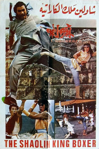 Movie poster for Iron Fists (1979)