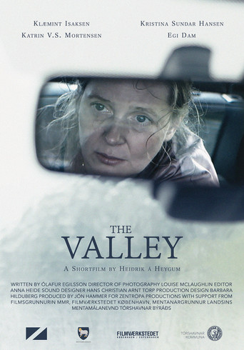 Movie poster for The Valley (2016)