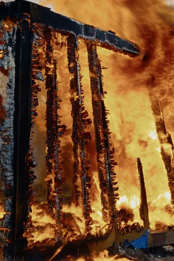 Movie poster for The Language of Fire (2024)