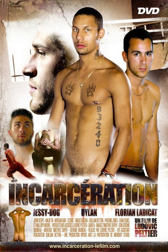 Movie poster for Incarcération (2011)