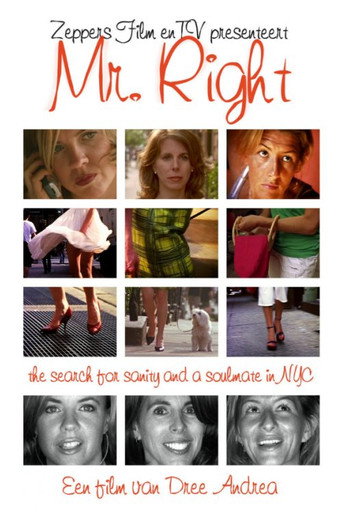 Movie poster for Mr. Right (2005)