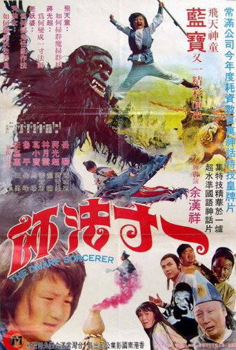 Movie poster for The Dwarf Sorcerer (1974)